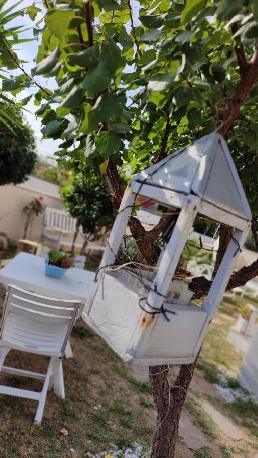 Casa Vacanze Olbia Exteriör bild